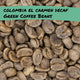 Colombia El Carmen DECAF Green Coffee Beans